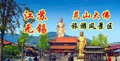 免费黄片视频操美女江苏无锡灵山大佛旅游风景区