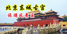 操小骚逼逼留白浆视频中国北京-东城古宫旅游风景区